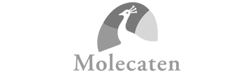 Logo van Molecaten Vakantieparken
